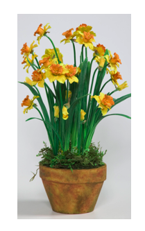 daffodils_pot.png