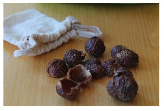 soap nuts.jpg