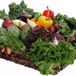 basket of veggies 
